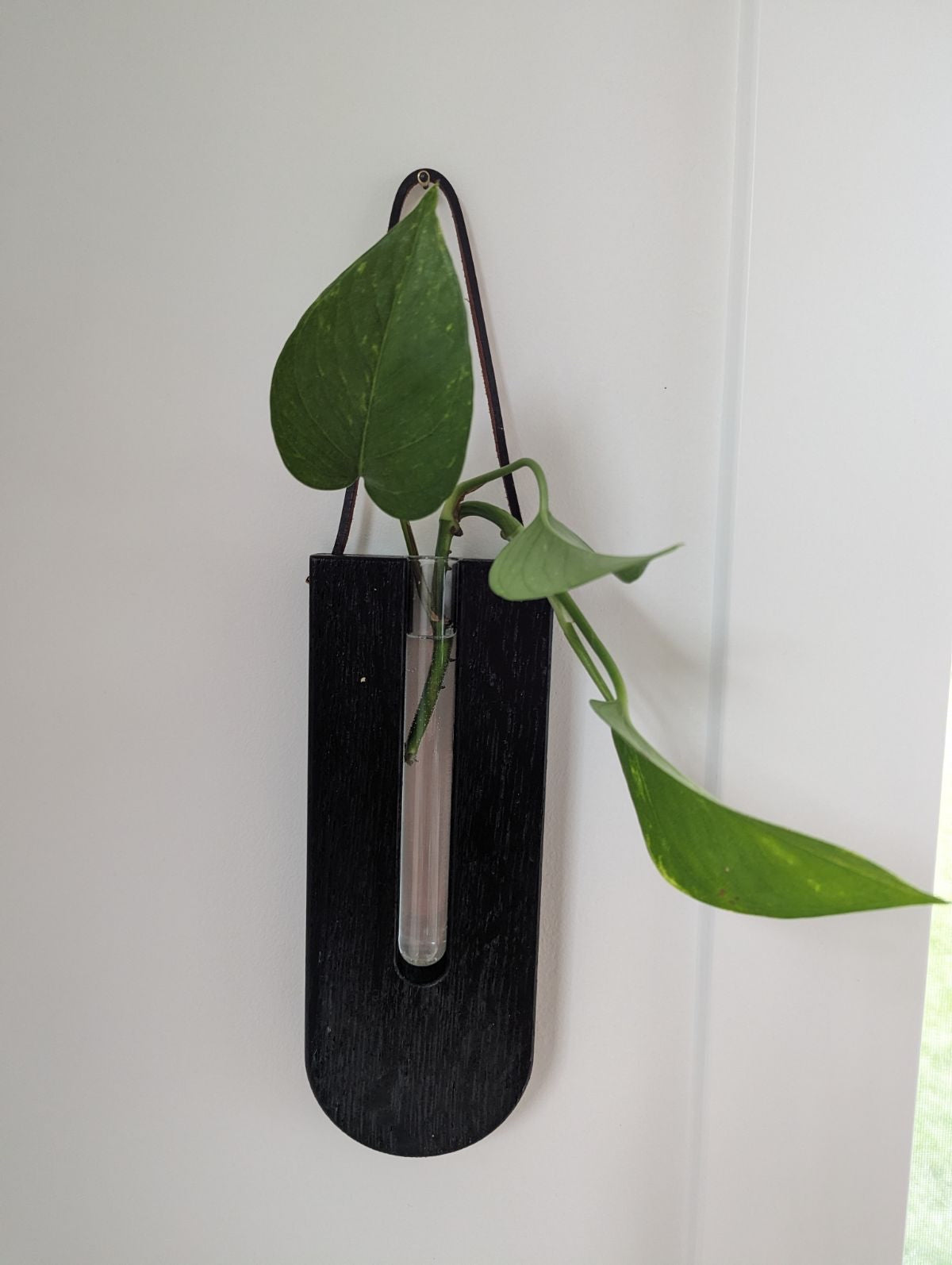 Propagation Tubes