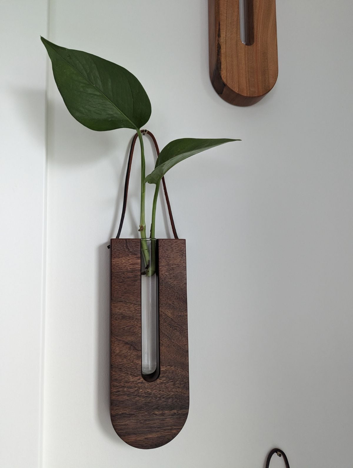 Propagation Tubes